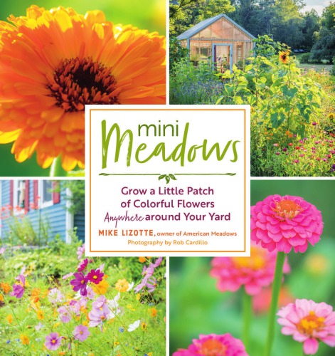 Mini Meadows Grow A Little Patch Of Colorful Flowers Anywhere Around Your Yard Lizotte