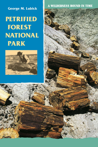 Petrified Forest National Park A Wilderness Bound In Time Lubick Lubick