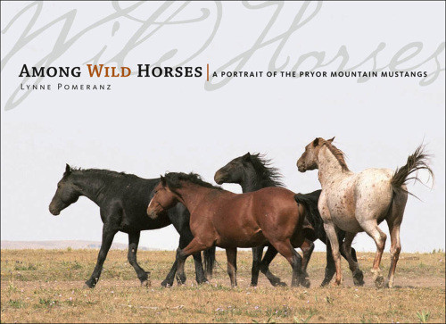 Among Wild Horses A Portrait Of The Pryor Mountain Mustangs Lynne Pomeranzrhonda Massinghamhope Ryden