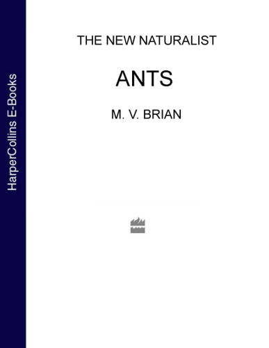 Ants M V Brian