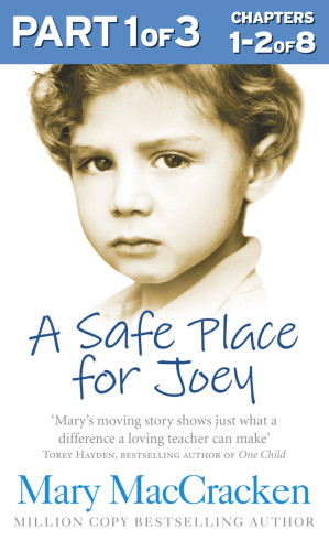 A Safe Place For Joey Part 1 Of 3 Maccracken Mary