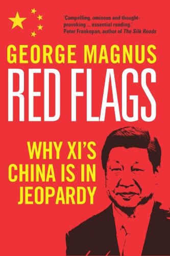 Red Flags Why Xis China Is In Jeopardy Magnus George