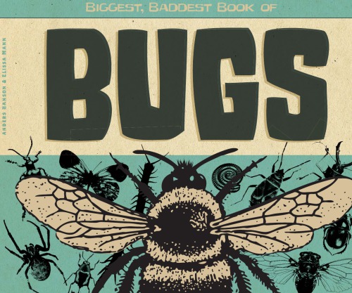 Biggest Baddest Book Of Bugs Elissa Mann Anders Hanson