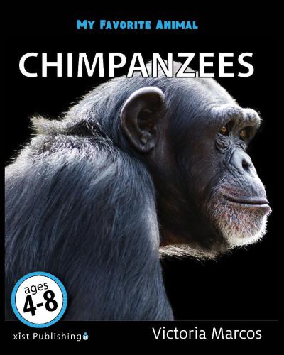 My Favorite Animal Chimpanzees Marcos Victoria