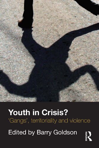Youth In Crisis Gangs Territoriality And Violence Barry Goldson