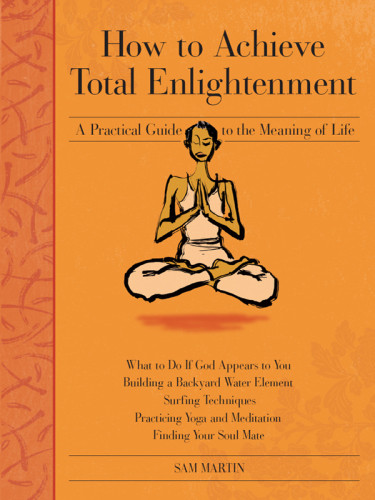 How To Achieve Total Enlightenment A Practical Guide To The Meaning Of Life Martin