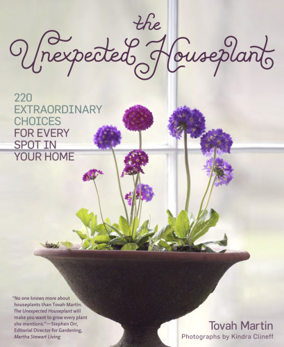The Unexpected Houseplant 220 Extraordinary Choices For Every Spot In Your Home Tovah Martin