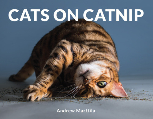 Cats On Catnip Andrew Marttila
