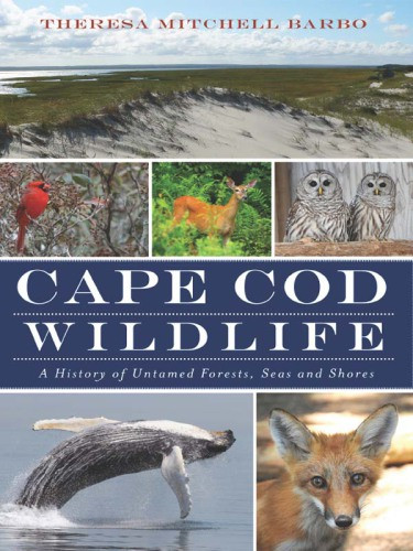Cape Cod Wildlife A History Of Untamed Forests Seas And Shores Massachusetts Natural Heritageendangered Species Programbarbo