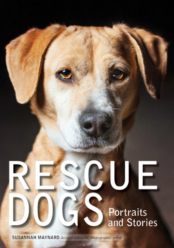 Rescue Dogs Susannah Maynard