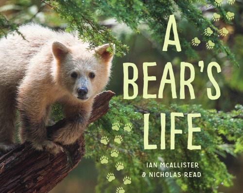 A Bears Life Ian Mcallister Nicholas Read