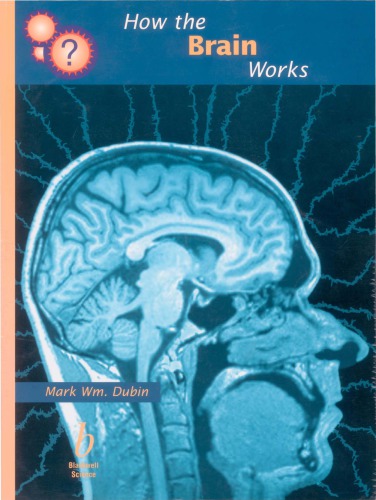 How The Brain Works 1st American Ed John Mccrone