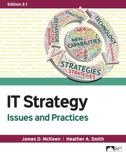 It Strategy Issues And Practices Edition 31 Mckeen James Dsmith