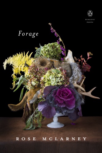 Forage First Edition Mclarney Rose