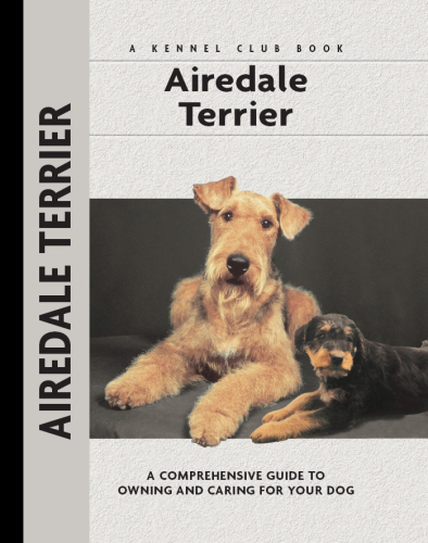 Airedale Terrier Bardi Mclennan