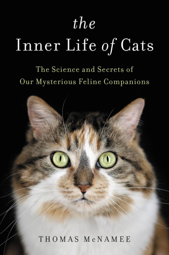 The Inner Life Of Cats The Science And Secrets Of Our Mysterious Feline Companions First Paperback Edition Mcnamee