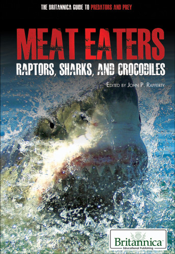 Raptors Sharks And Crocodiles Britannica Guide To Predators And Prey Meat Eaters