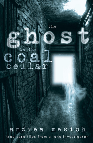 The Ghost In The Coal Cellar Andrea Mesich