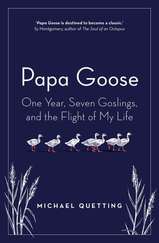 Papa Goose Michael Quetting