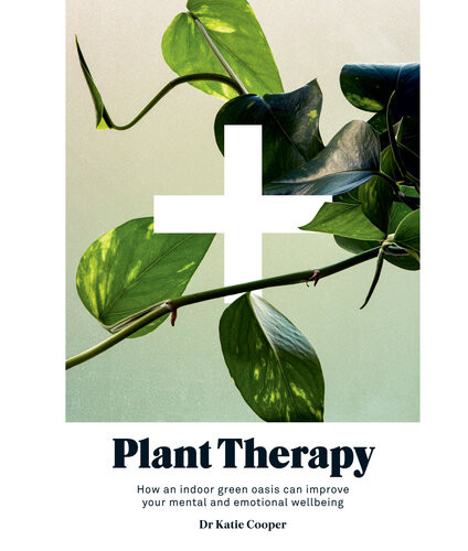 Plant Therapy Why An Indoor Green Oasis Can Improve Your Mental And Emotional Wellbeing Katie Cooper