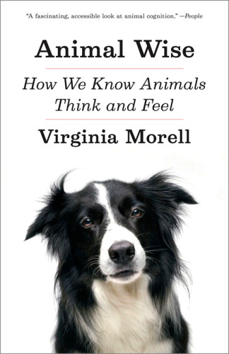 Animal Wise How We Know Animals Think And Feel First Paperback Edition Morell