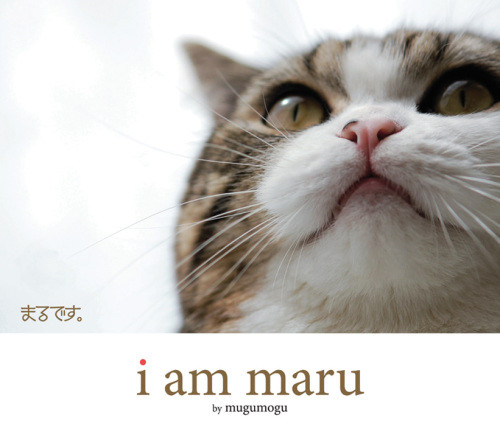 I Am Maru First Us Edition Mugumogu