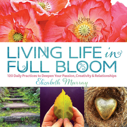 Living Life In Full Bloom Murray Elizabeth