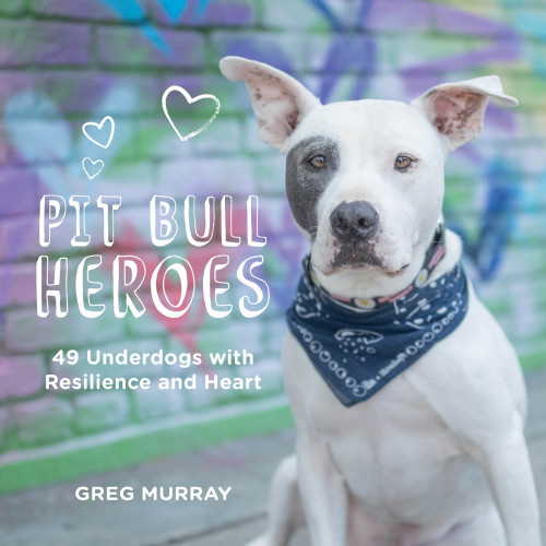 Pit Bull Heroes Greg Murray