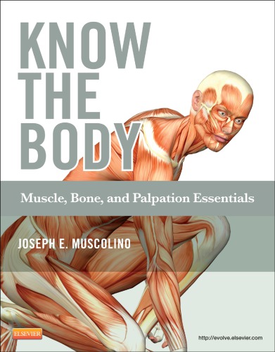 Know The Body Joseph E Muscolino