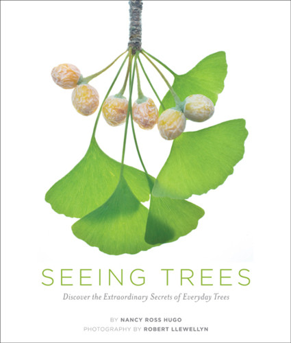 Seeing Trees Up Close Discover The Extraordinary Secrets Of Everyday Trees Nancy Ross Hugorobert Llewellyn J