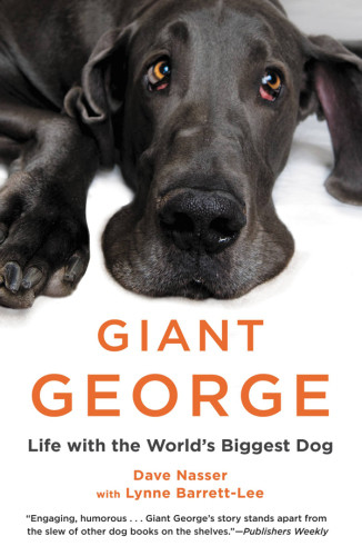 Giant George Life With The Worlds Biggest Dog Nasser Davebarrettlee
