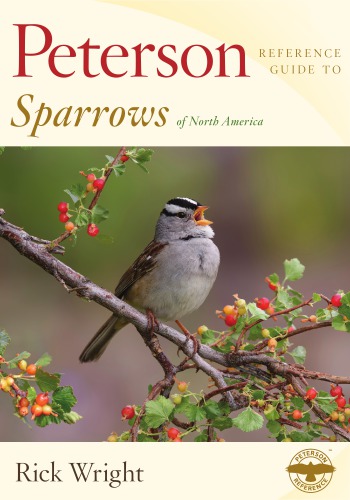 Peterson Reference Guide To Sparrows Of North America Rick Wright