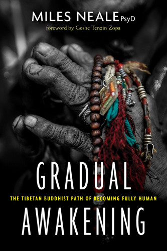 Gradual Awakening The Tibetan Buddhist Path Of Becoming Fully Human Neale