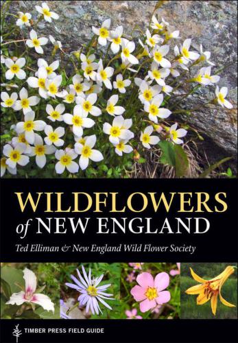 Wildflowers Of New England Timber Press Field Guide New Angleterre Wildflower Societyelliman