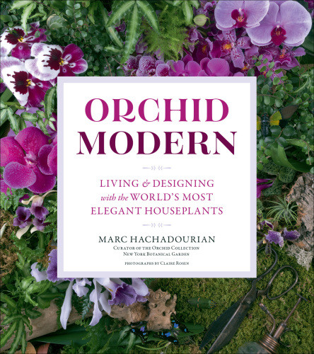 Orchid Modern Living And Designing With The Worlds Most Elegant Houseplants Marc Hachadourian