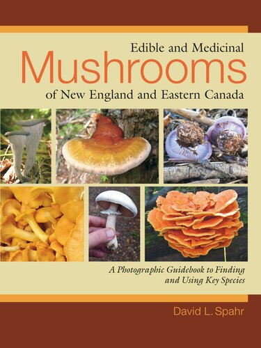 Edible And Medicinal Mushrooms Of New England And Eastern Canada David L Spahr