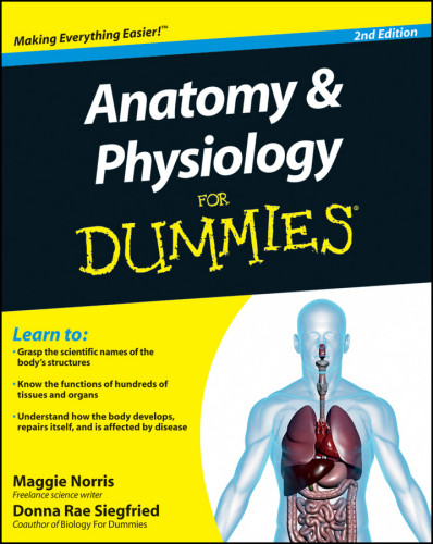 Anatomy And Physiology For Dummies 2nd Edition Maggie Norris