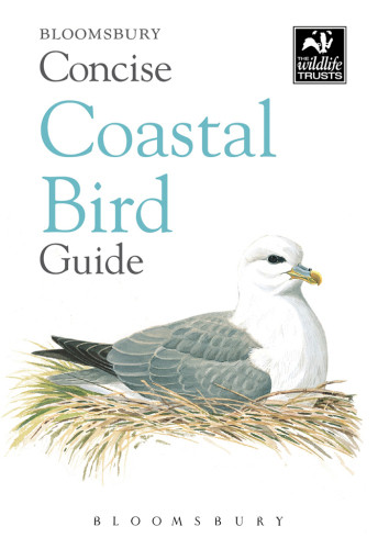 Concise Coastal Bird Guide Bloomsbury Publishing