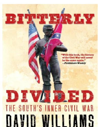 Bitterly Divided The Souths Inner Civil War Williams David