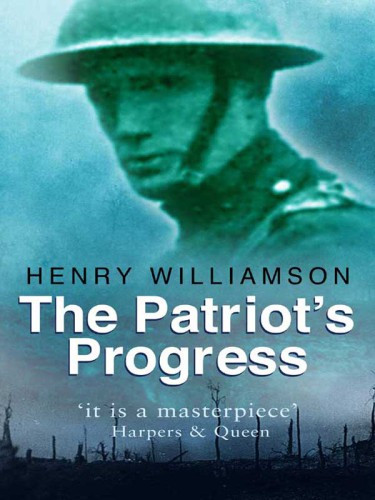 The A Patriots Progress Henry Williamson And The First World War Williamson