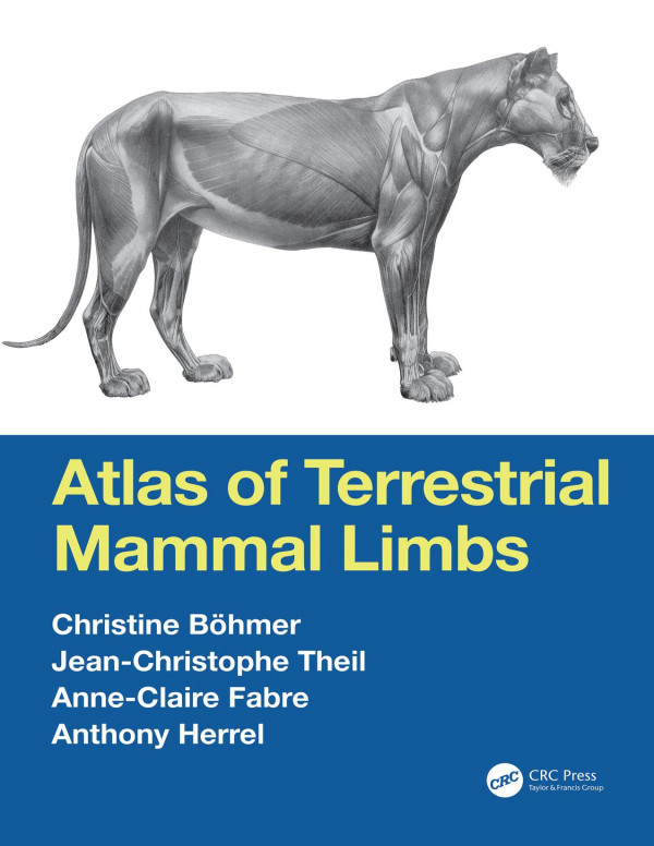 Atlas Of Terrestrial Mammal Limbs 1st Edition Christine Bhmer Author Jeanchristophe Theil Author Anneclaire Fabre Author Anthony Herrel Author
