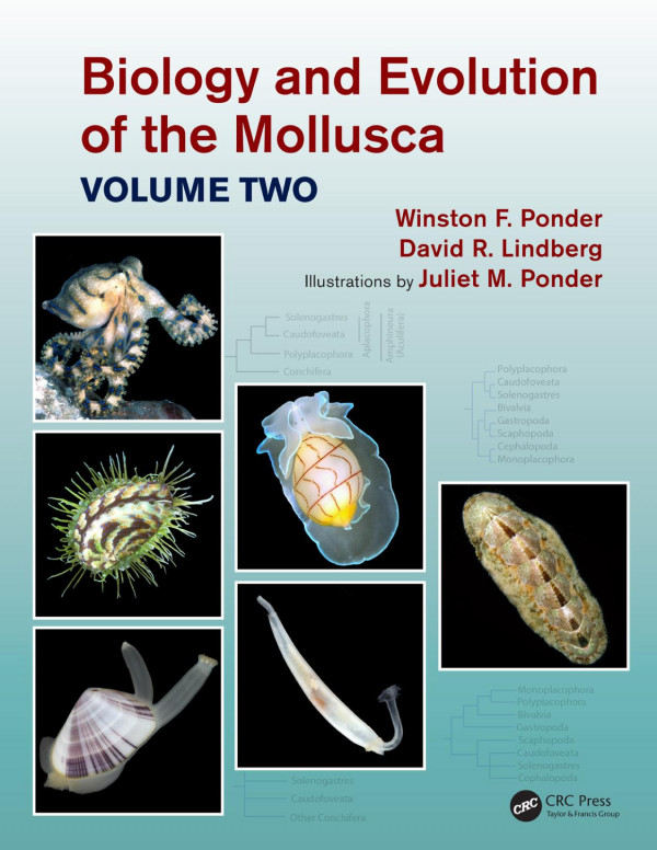 Biology And Evolution Of The Mollusca Volume Two 1st Edition Winston F Ponder