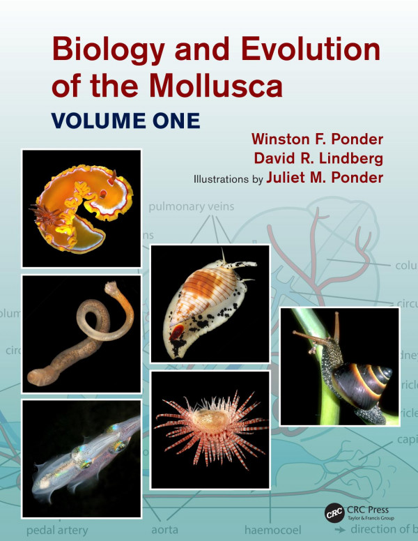 Biology And Evolution Of The Mollusca Volume One 1st Edition Winston F Ponder