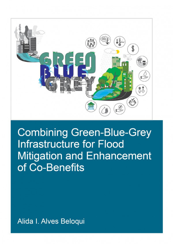Combining Greenbluegrey Infrastructure For Flood Mitigation And Enhancement Of Cobenfits 1st Edition Alida I Alves Beloqui Author