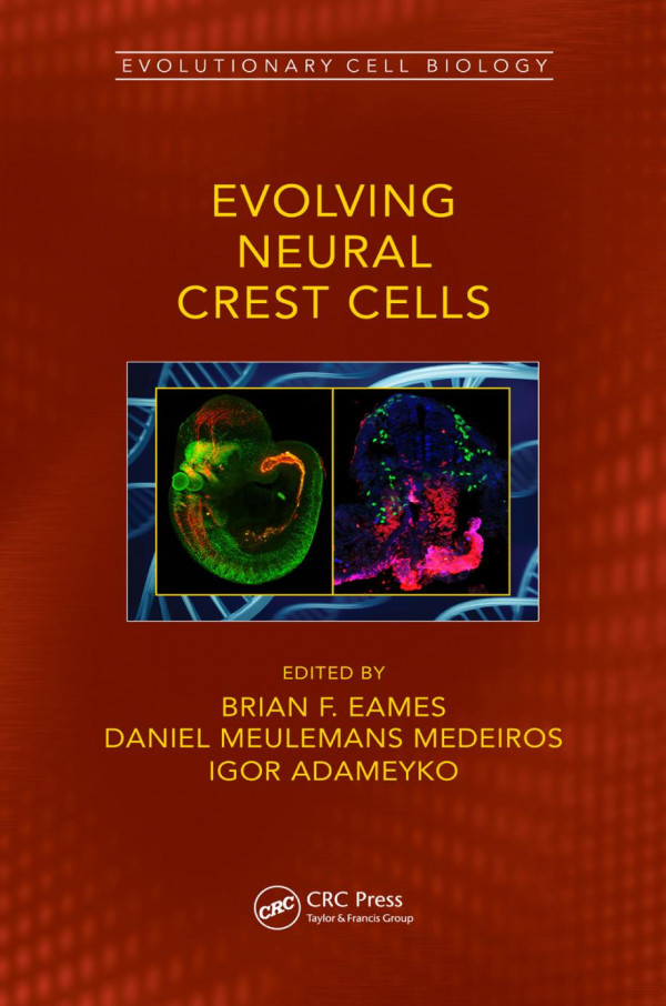 Evolving Neural Crest Cells 1st Edition Brian Frank Eames Editor Daniel Meulemans Medeiros Editor Igor Adameyko Editor