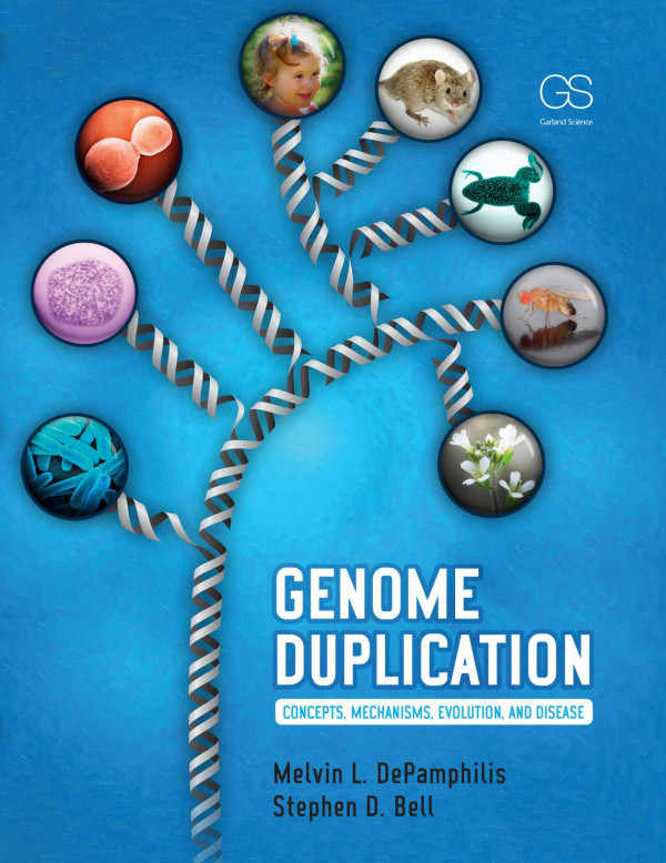 Genome Duplication 1st Edition Melvin Depamphilis Author Stephen D Bell Author