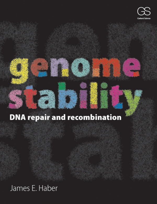 Genome Stabilitydna Repair And Recombination 1st Edition James Haber Author