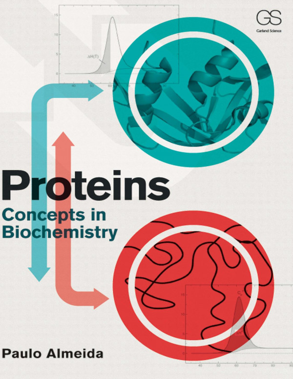 Proteinsconcepts In Biochemistry 1st Edition Paulo Almeida Author