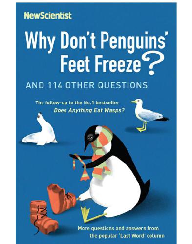Why Dont Penguins Feet Freeze Ohare Mick