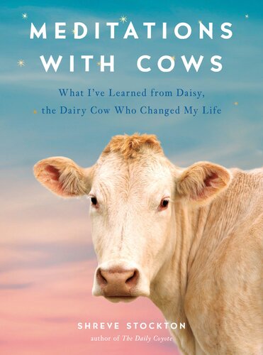 Meditations With Cows What Ive Learned From Daisy The Dairy Cow Who Changed My Life Shreve Stockton